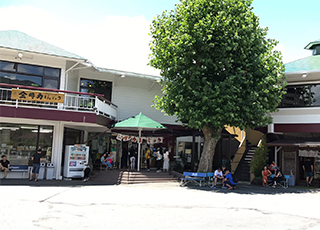 お店の雰囲気